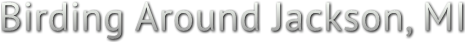 Birding Around Jackson, MI Birding Around Jackson, MI